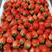 【实力代办】徐州宁玉草莓奶油草莓大量上市，产地直发