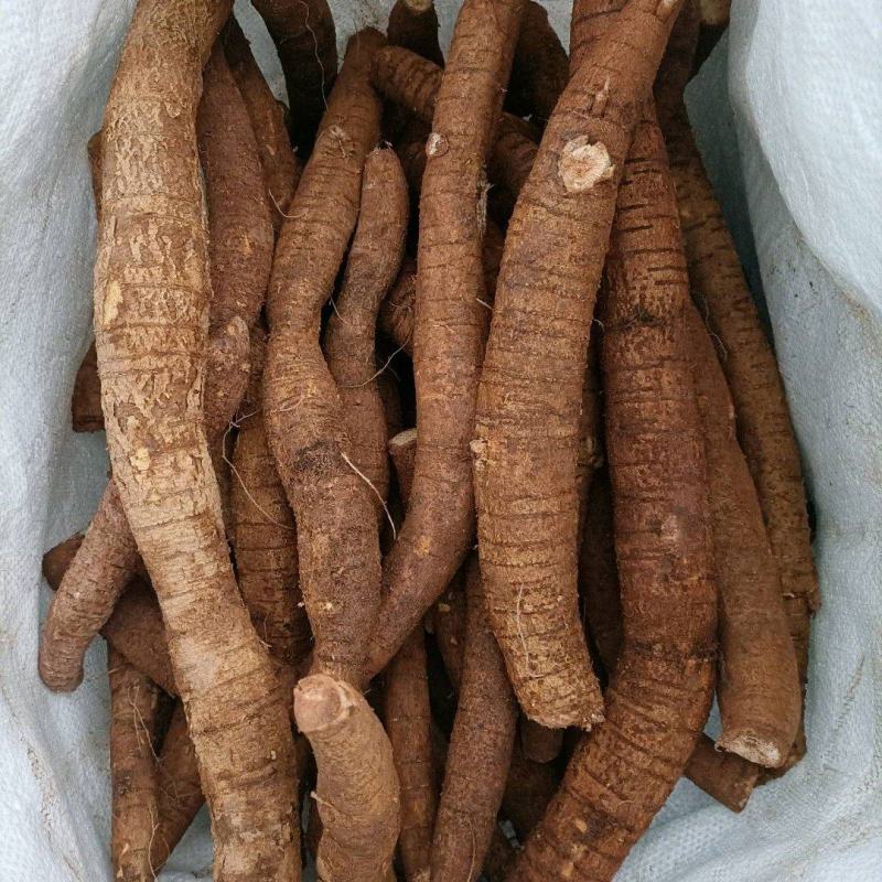 新鲜小叶牛大力统货鲜货，老身、色泽黄、规格大，一手货源