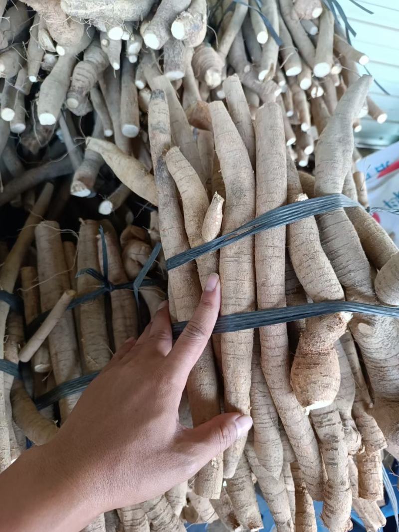 新鲜小叶牛大力统货鲜货，老身、色泽黄、规格大，一手货源