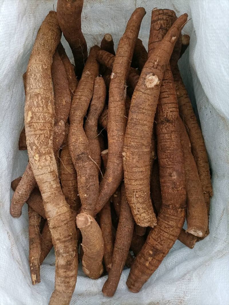 新鲜小叶牛大力统货鲜货，老身、色泽黄、规格大，一手货源