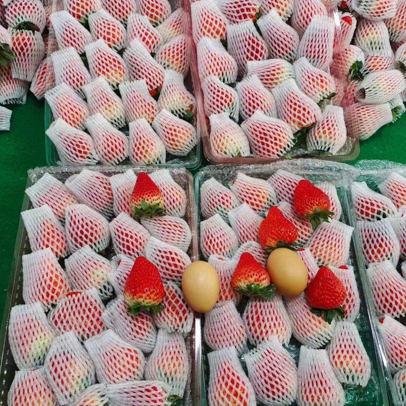 社区团购电商平台直播带货甜查理草莓一件代发包售后