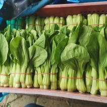 青菜油菜苔