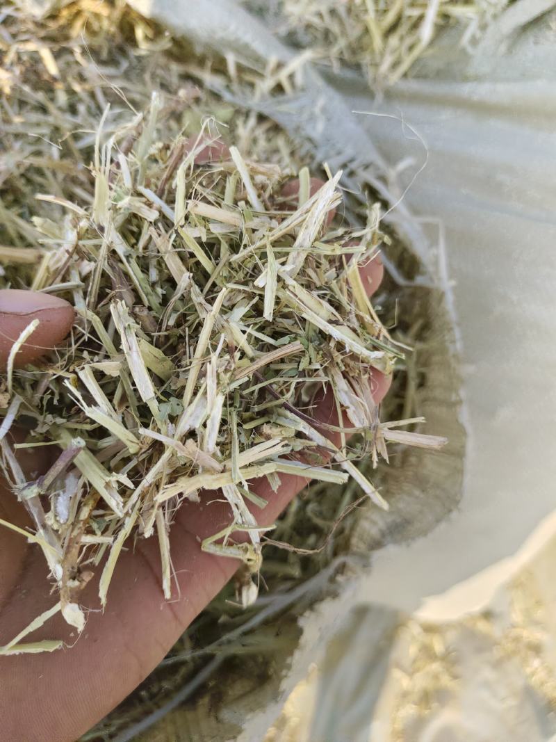 供应优质花生秧牛羊干草料，草料颜色绿，干净利落
