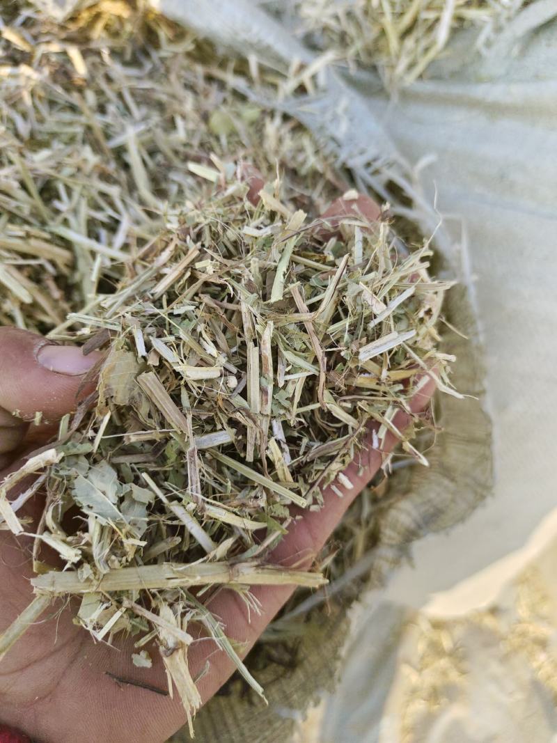 供应优质花生秧牛羊干草料，草料颜色绿，干净利落