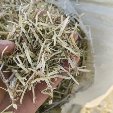 供应优质花生秧牛羊干草料，草料颜色绿，干净利落