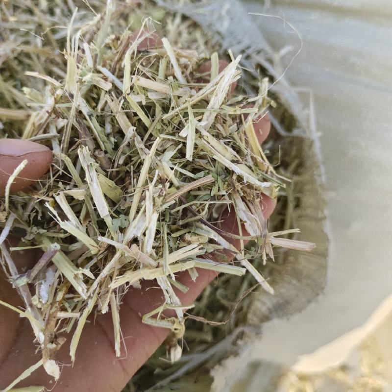 供应优质花生秧牛羊干草料，草料颜色绿，干净利落