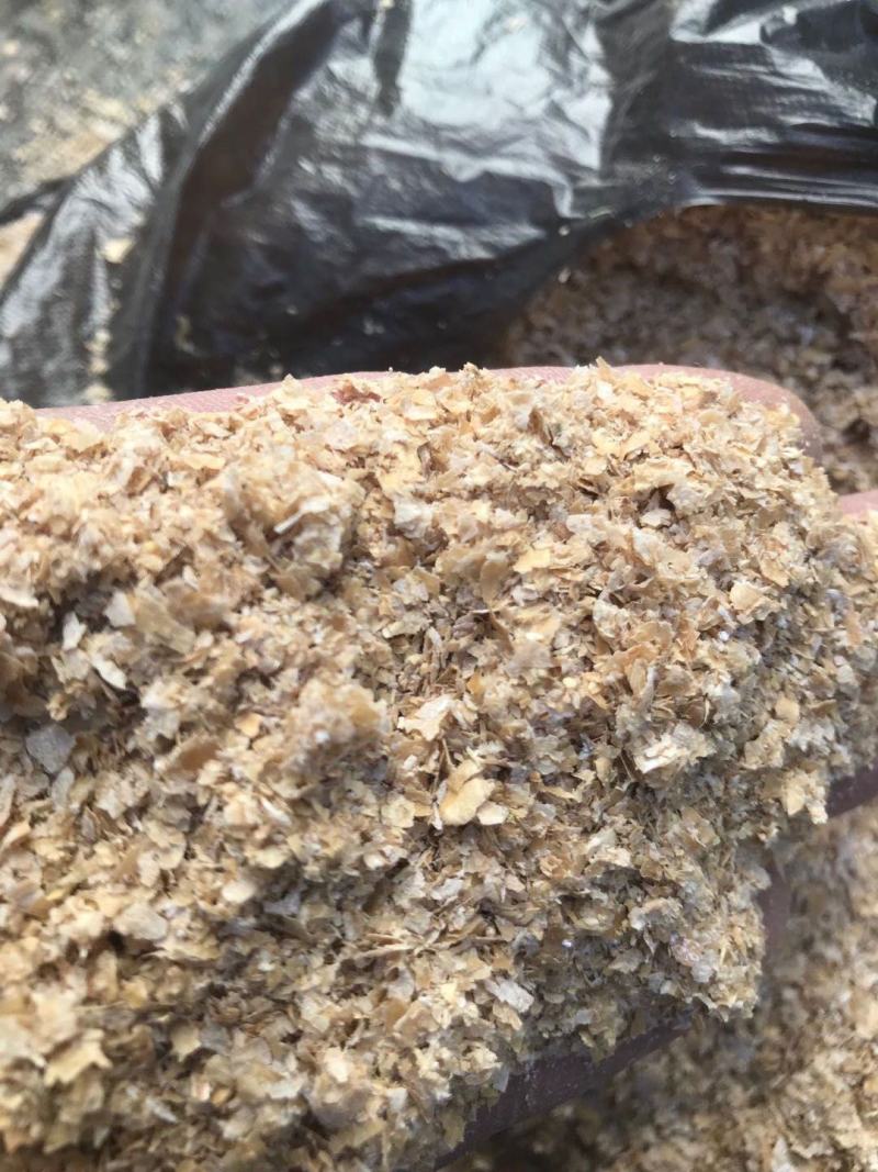 大量出售麸皮，价格优惠，欢迎各位老板来电洽谈