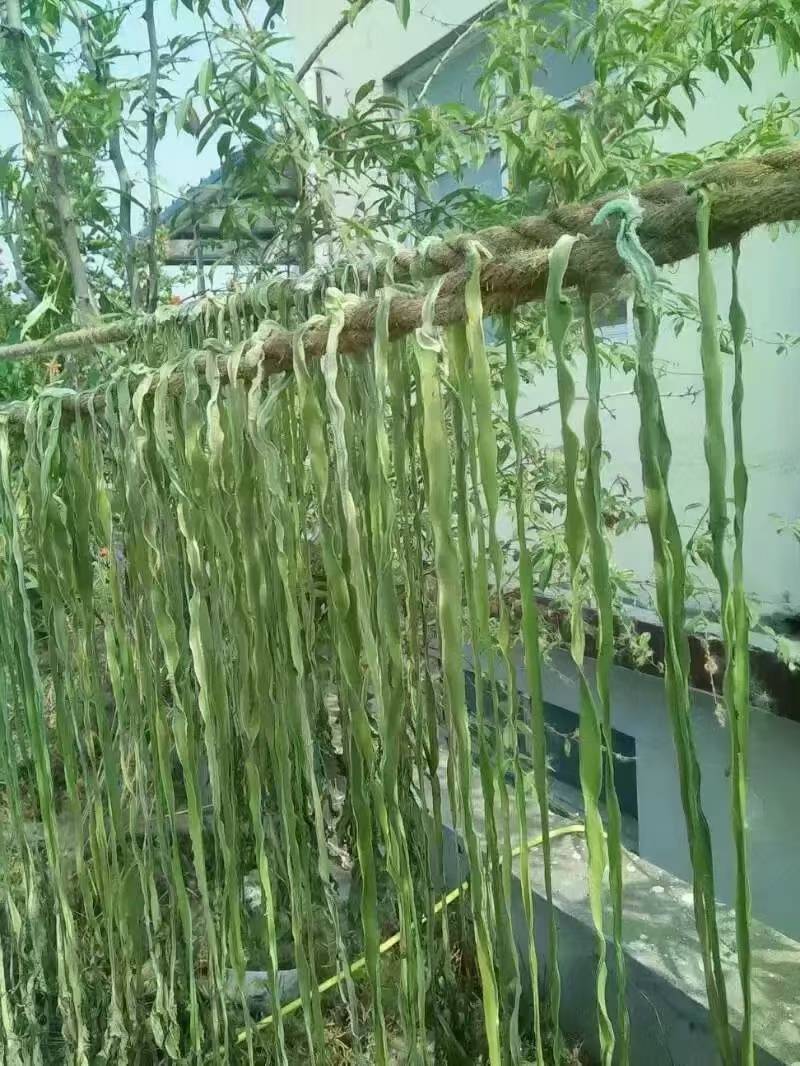 精品贡菜，安徽义门，价格70公斤