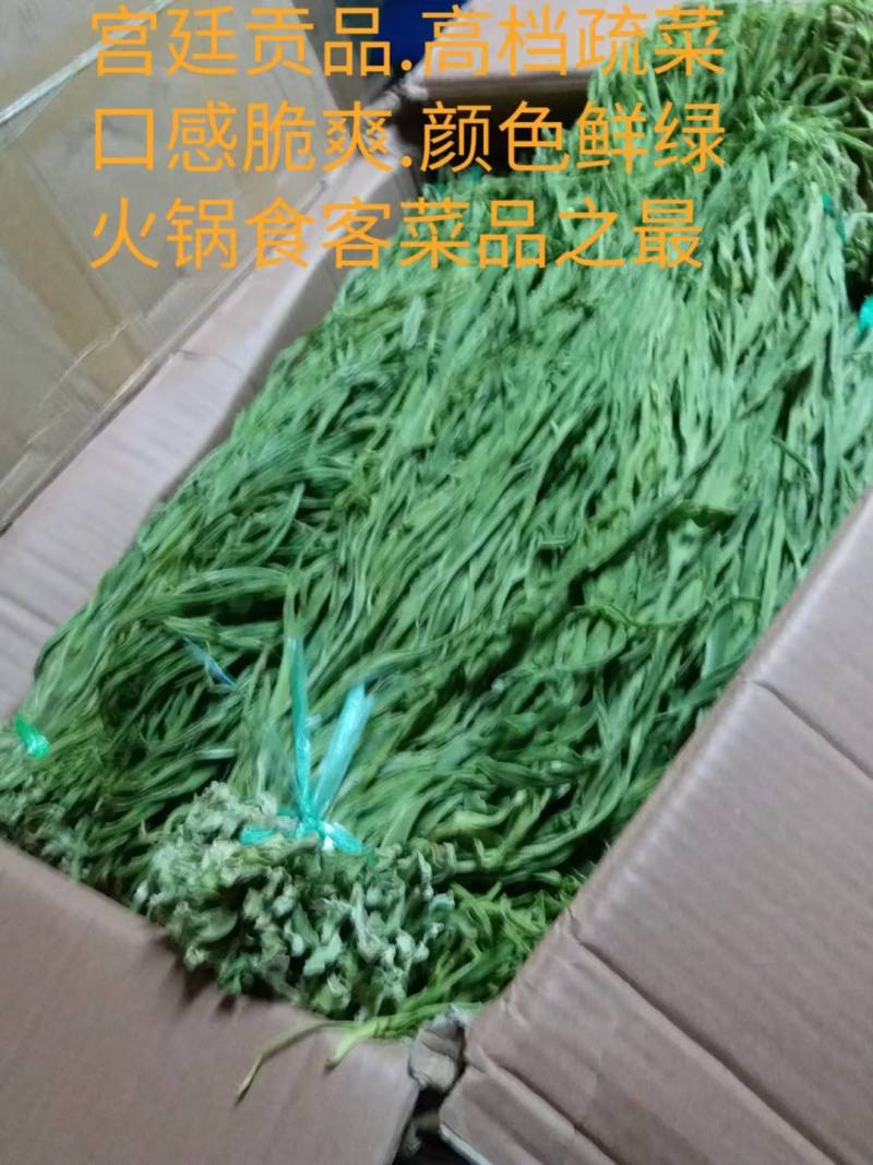 精品贡菜，安徽义门，价格70公斤
