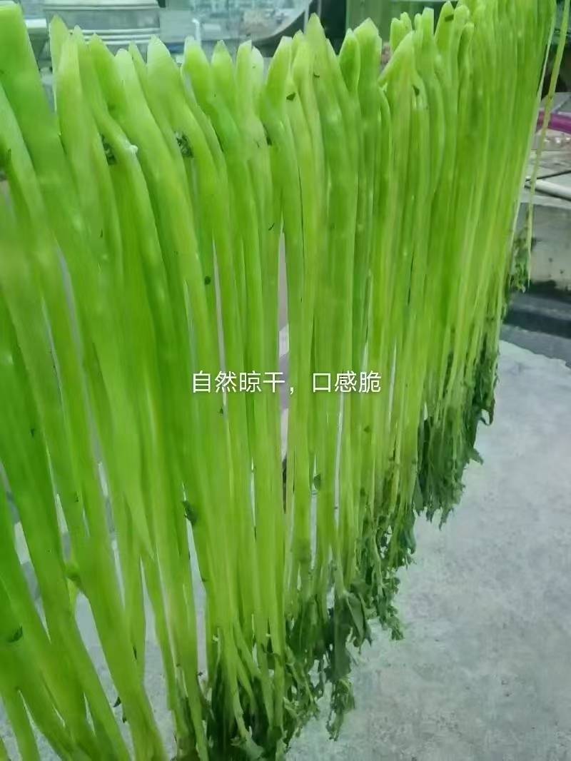精品贡菜，安徽义门，价格70公斤