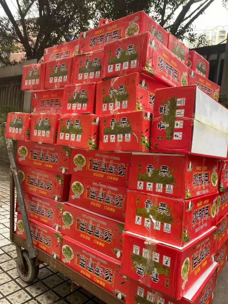 精品贡菜，安徽义门，价格70公斤
