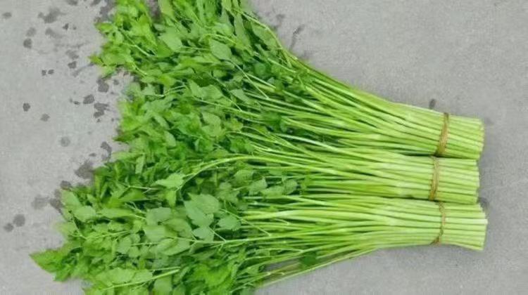 芹菜与百合凉拌图