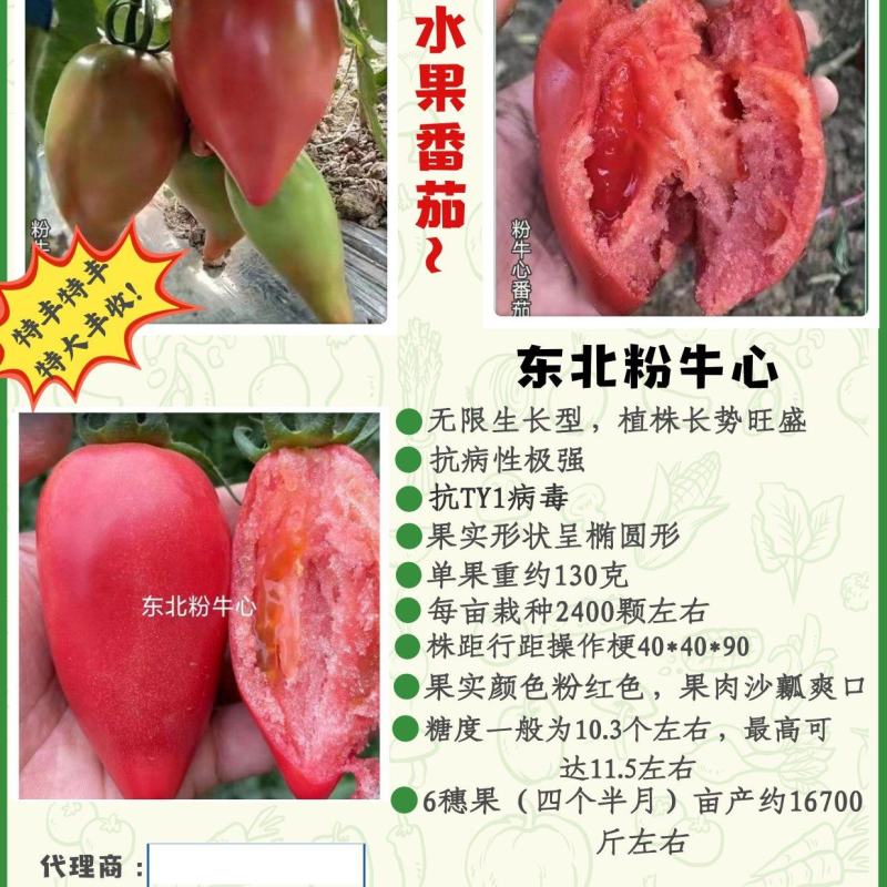 包邮，粉牛心，沙瓤爽口，酸甜～苗厂直供