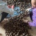 荔浦马蹄非常甜经营多年有想要的老板吗欢迎来咨询