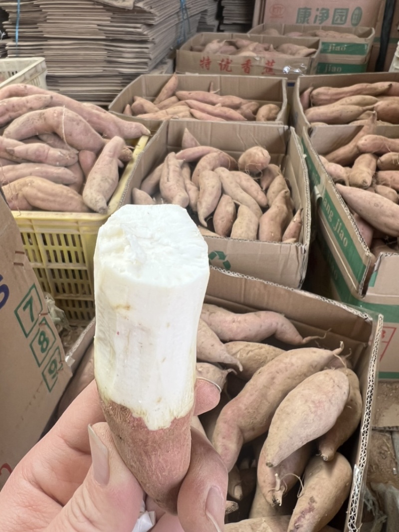哈密冰糖白薯支持团购落地配一件代发产地一手货源