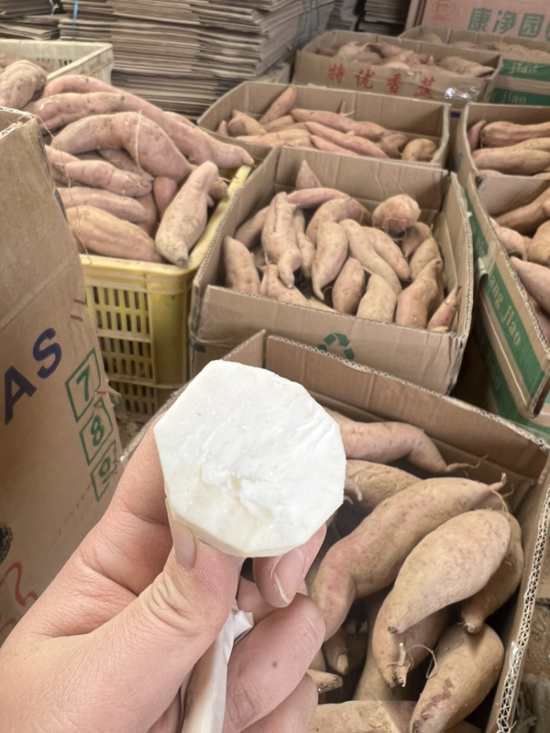 哈密冰糖白薯支持团购落地配一件代发产地一手货源