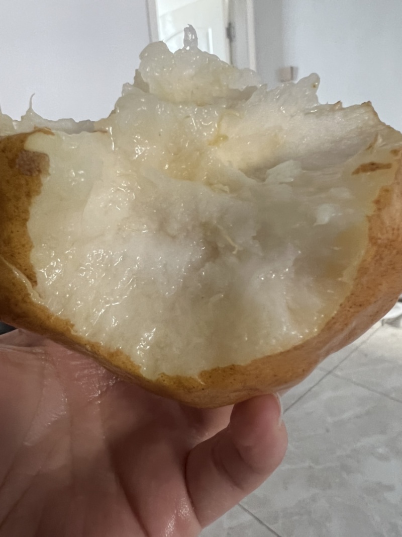 中华丑梨产地一手货源支持团购落地配商超一件代发