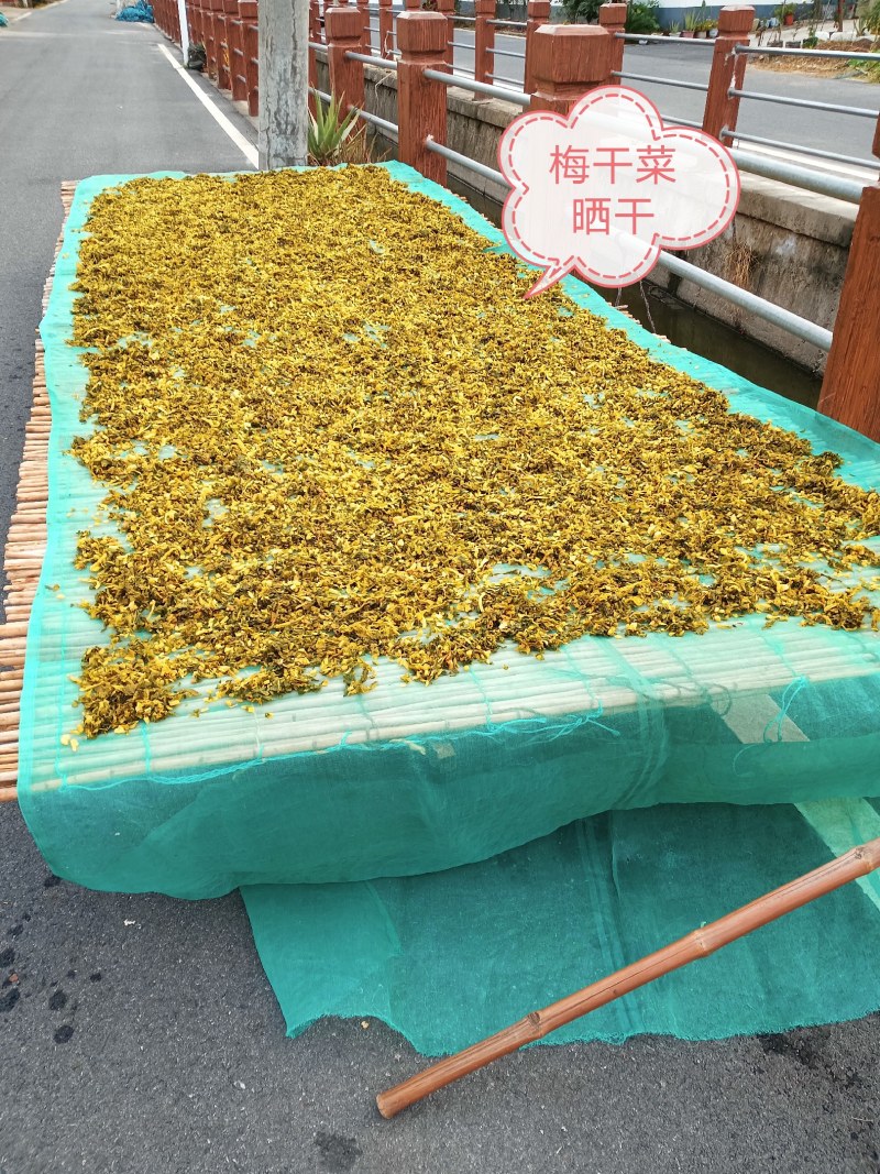 绍兴梅干菜传统工艺原汁原味香味浓郁干净无沙自产自销