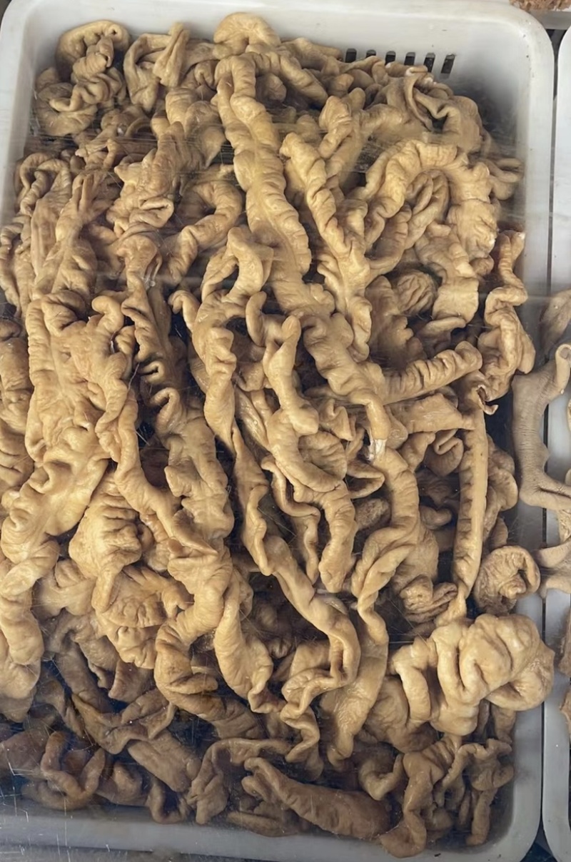 厂家直供卤肥肠熟肥肠，面馆，餐馆，适合各类餐饮行业朋友们