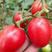 千禧小西红柿，樱桃西红柿，大量上市，自然成熟，产地直供