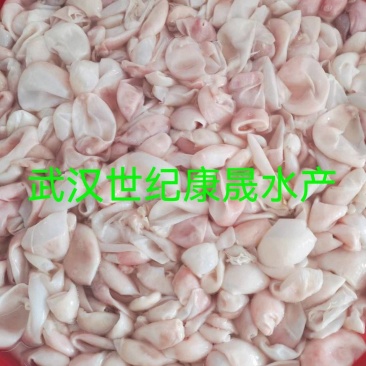 丹江口，千岛湖水库大花鲢鲜冻优质内泡