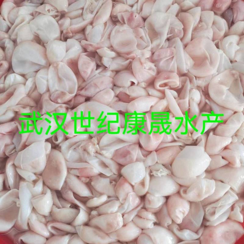 丹江口，千岛湖水库大花鲢鲜冻优质内泡