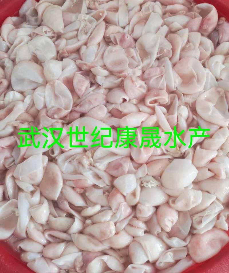 丹江口，千岛湖水库大花鲢鲜冻优质内泡