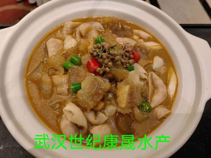 丹江口，千岛湖水库大花鲢鲜冻优质内泡