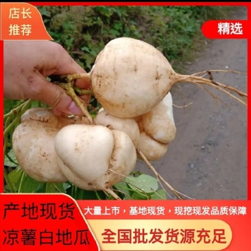 凉薯