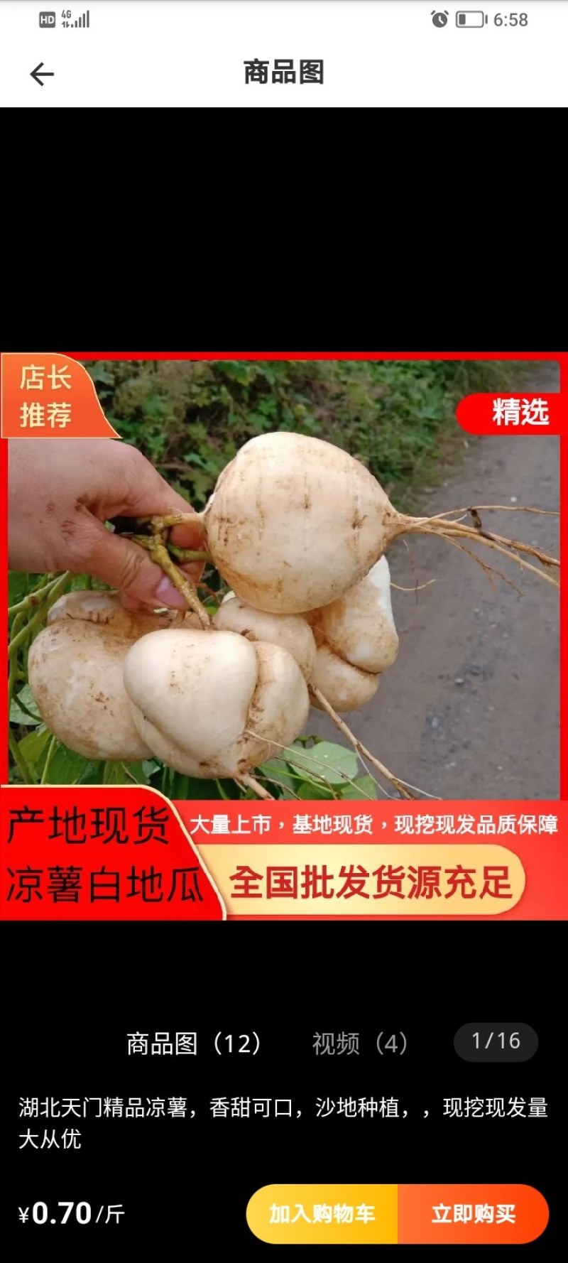 凉薯