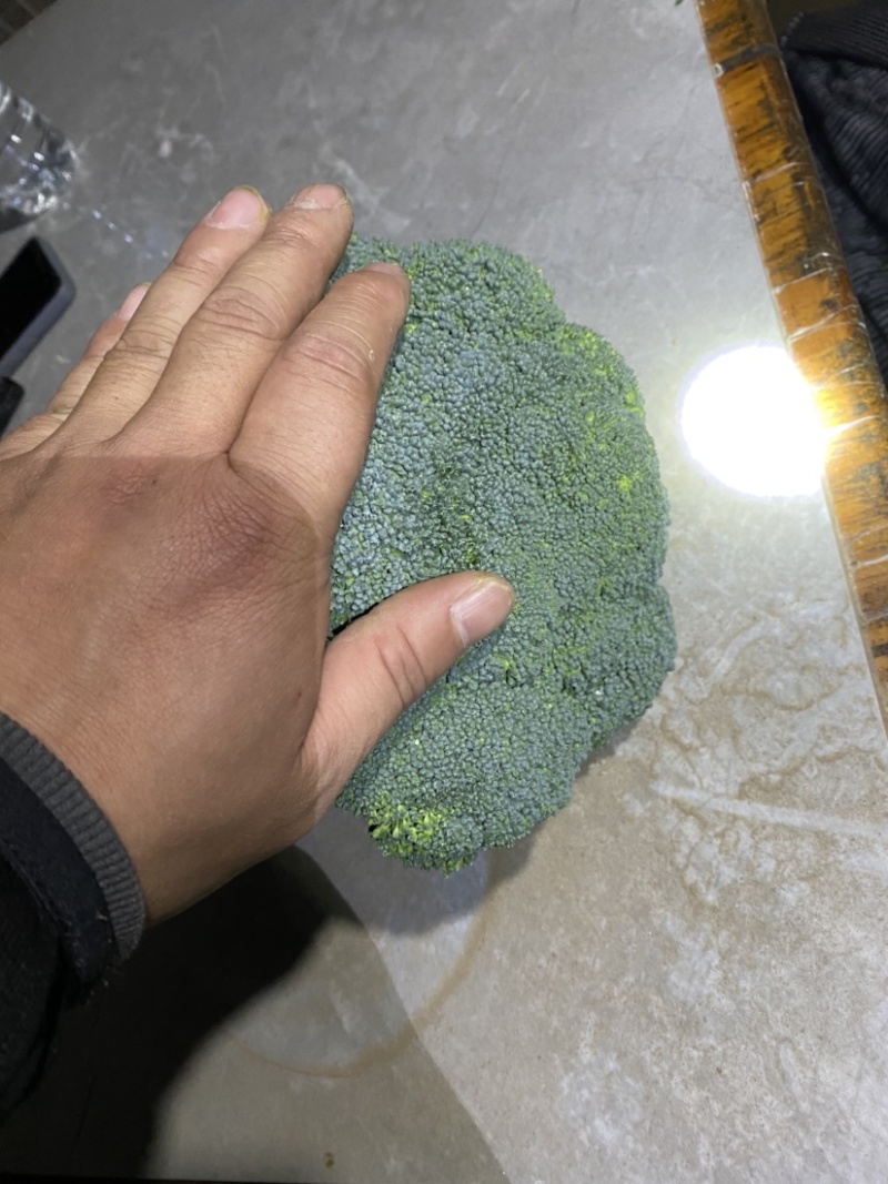 西蓝花大量上市现采现发