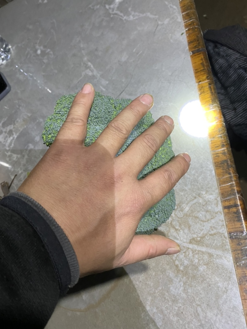 西蓝花大量上市现采现发