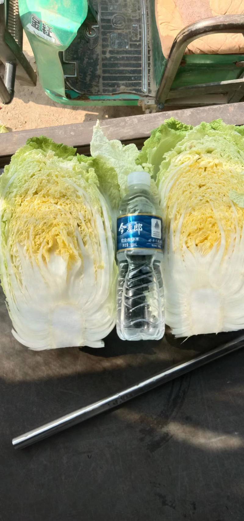 【推荐】大白菜大量上市，市场货，电商货，有需要的联系我