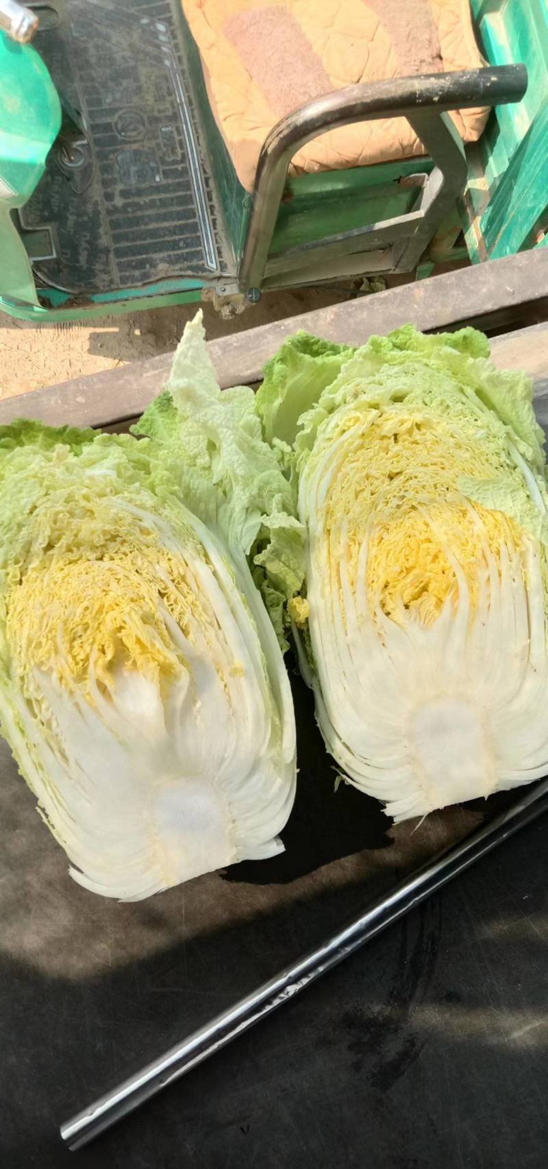 【推荐】大白菜大量上市，市场货，电商货，有需要的联系我