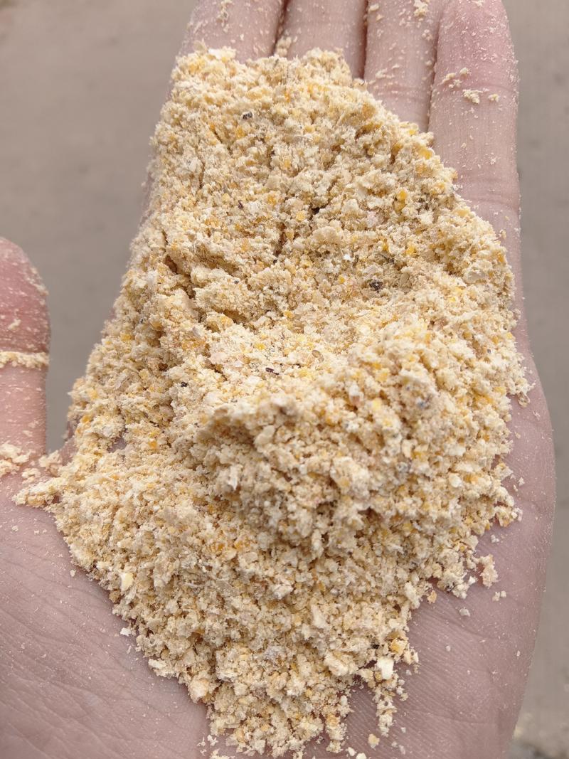 高质量玉米次粉，牲畜专用，厂家批发，价格优惠