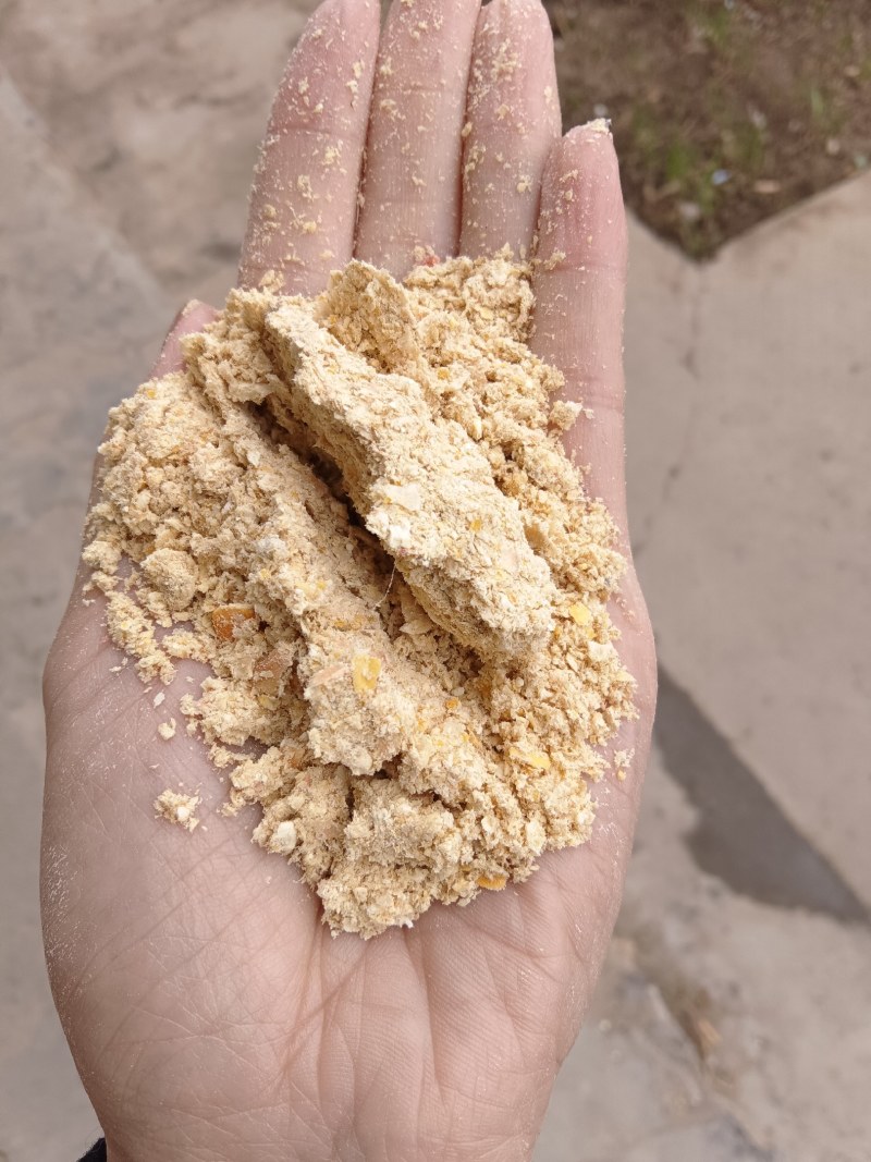 高质量玉米次粉，牲畜专用，厂家批发，价格优惠
