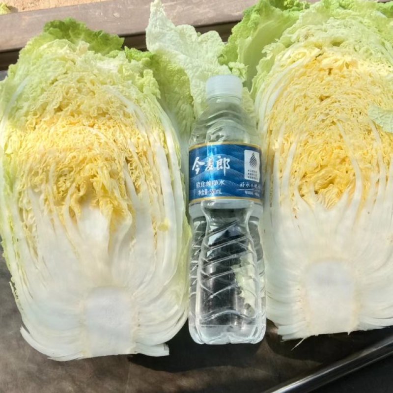 【推荐】大白菜大量上市，市场货，电商货，有需要的联系我