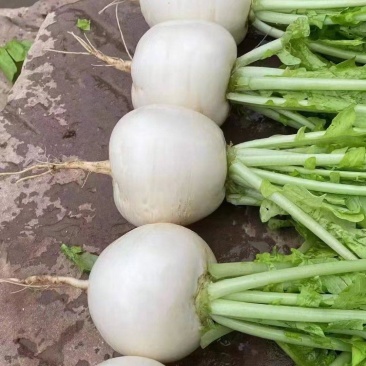 8两起，大量出货