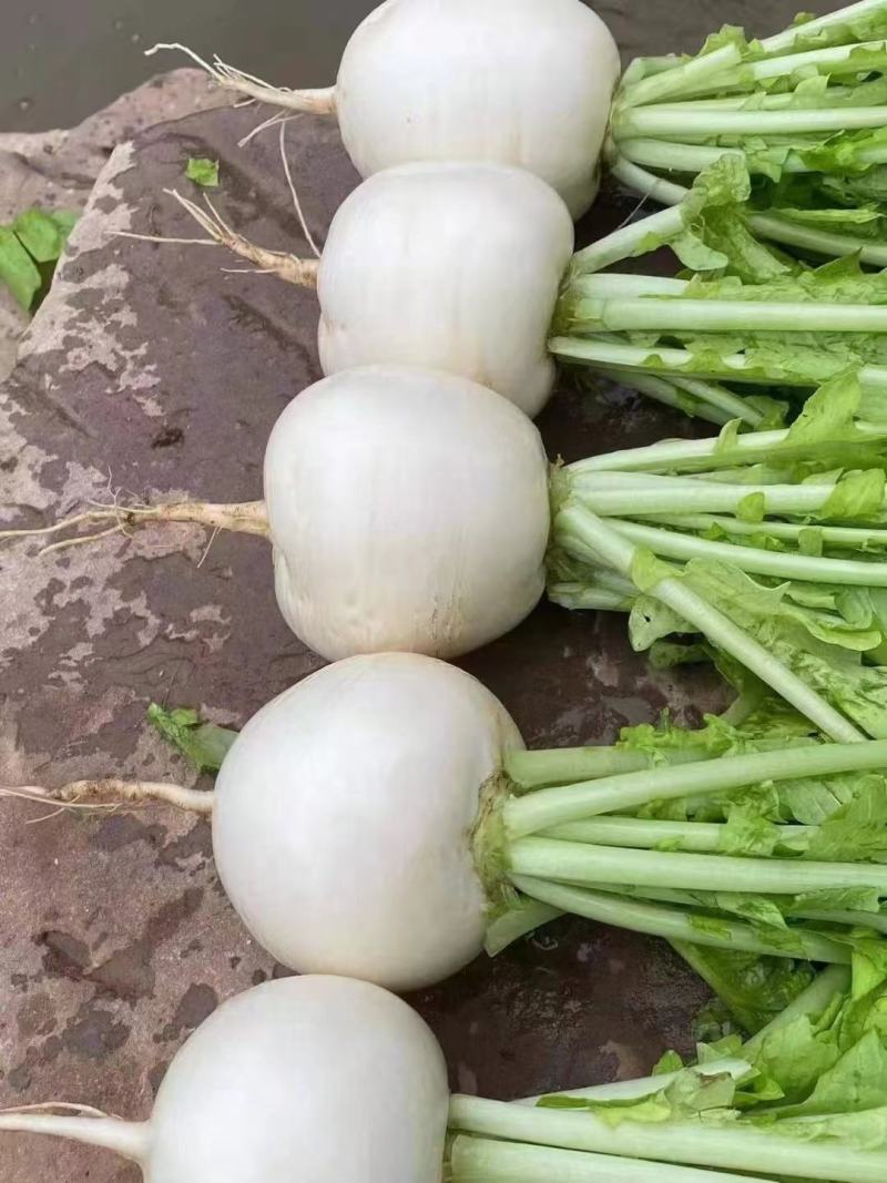 8两起，大量出货