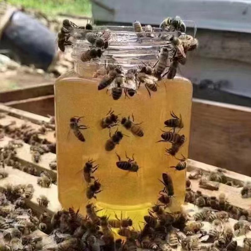 蜂蜜巢蜂蜜没有添加任何添加剂质量保证价格美丽！