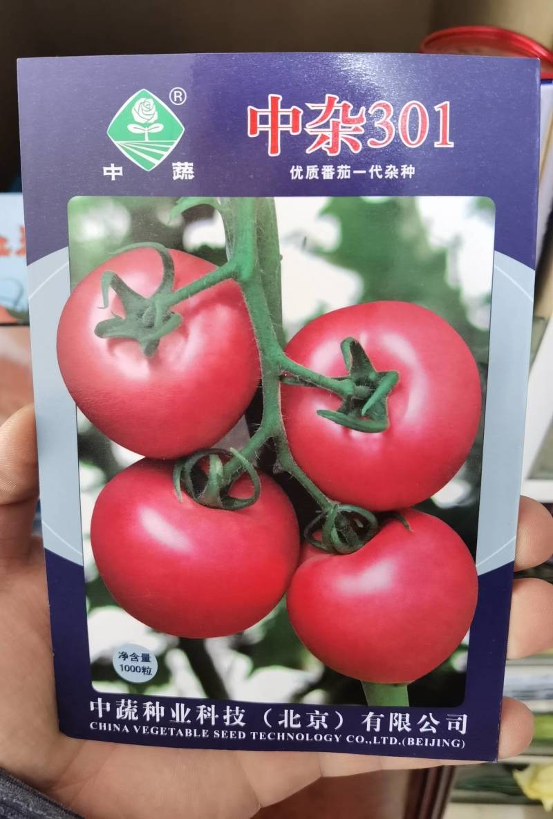 中蔬中杂103番茄种子粉红果抗TY病毒酸甜西红柿种