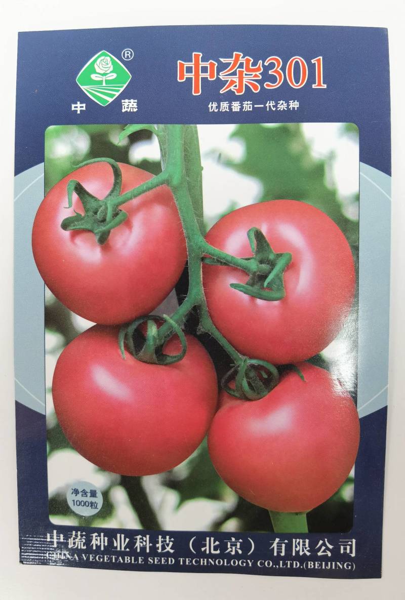 中蔬中杂103番茄种子粉红果抗TY病毒酸甜西红柿种
