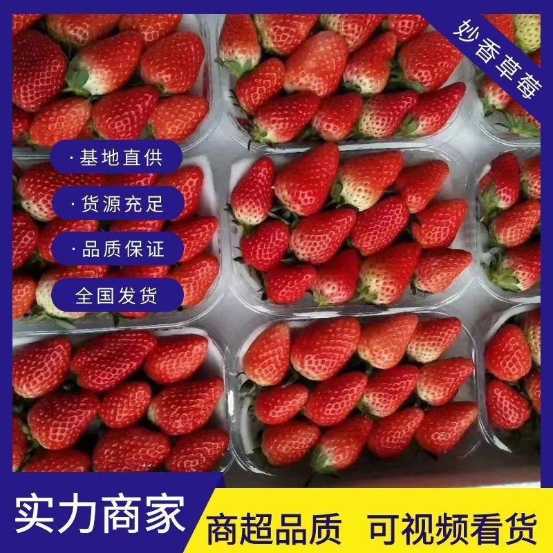 【精品】妙香草莓，欢迎社区团购，电商，批发商前来合作。