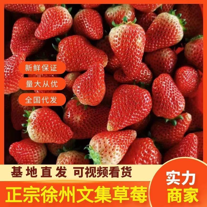 【精品】奶油草莓，欢迎社区团购，电商，批发商前来合作。