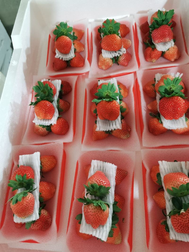 【实力】妙香草莓，欢迎社区团购，电商，批发商前来合作。