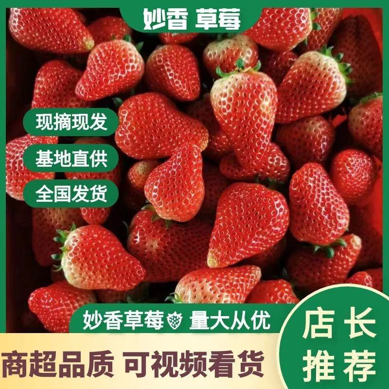 【实力】妙香草莓，欢迎社区团购，电商，批发商前来合作。