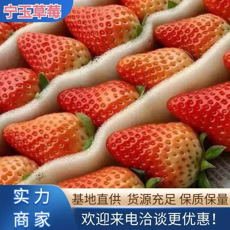 【推荐】徐州宁玉草莓大量上市，基地直供，货源充足全国代发