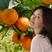 【九月红脐橙】甜橙血橙纽荷尔脐橙现摘现发挂树新鲜果