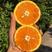 橙子九月红脐橙，产地直发，田头直发，汁水充盈甜度高耐运输