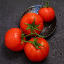 大红西红柿，专业出口西红柿，外贸超市市场，寿光原产地直发